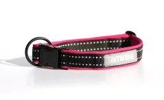 Aminela obojek se sponou Sport & City 35-60cm