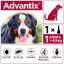Advantix Spot On 1x6ml pro psy 40-60 kg (EXP: 1/2026)
