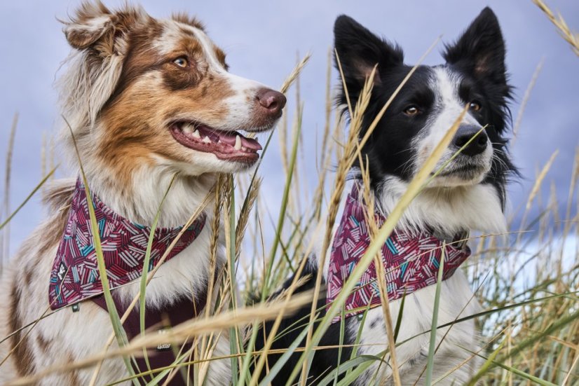 Šátek Zhero Safety Bandana ECO rubínová L