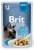 Brit Premium Cat kapsička Fillets in Gravy With Chicken 85g (EXP: 9/2026)
