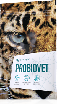 Probiovet 90 tbl Probiovet 90 tbl